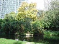 /album/belgio/dsc00322-jpg/