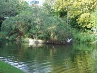 /album/belgio/dsc00321-jpg/