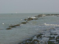 /album/belgio/dsc00355-jpg/