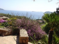 /album/sardegna/sa10-jpg/