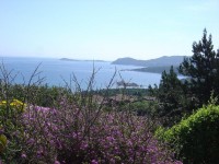 /album/sardegna/sa11-jpg/