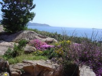 /album/sardegna/sa12-jpg/