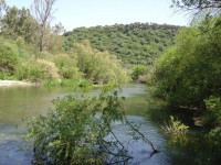 /album/sardegna/sa19-jpg/