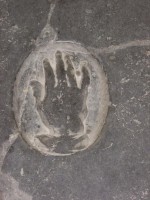 /album/olanda/h4-jpg/