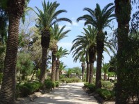 /album/tunisia/dsc00672-jpg/