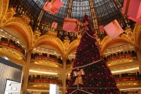 /album/paris/img-0682-jpg/